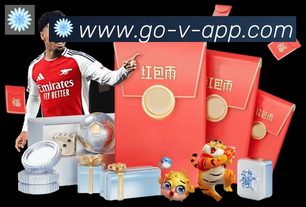 未来规划