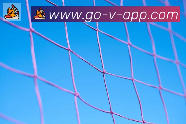 V体育APP 体育赛事宣传图